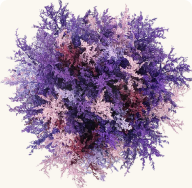 AIRBRUSHED VIOLET MIST