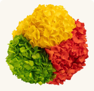 TINTED TROPICAL GLOW