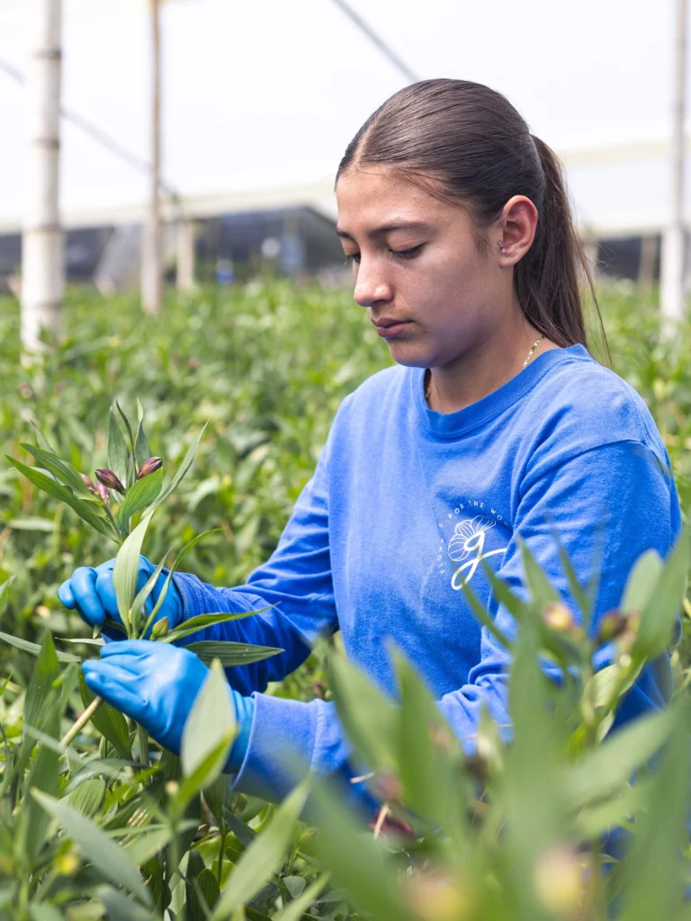 Instagram post from gutiflowers. This post is in position 2.