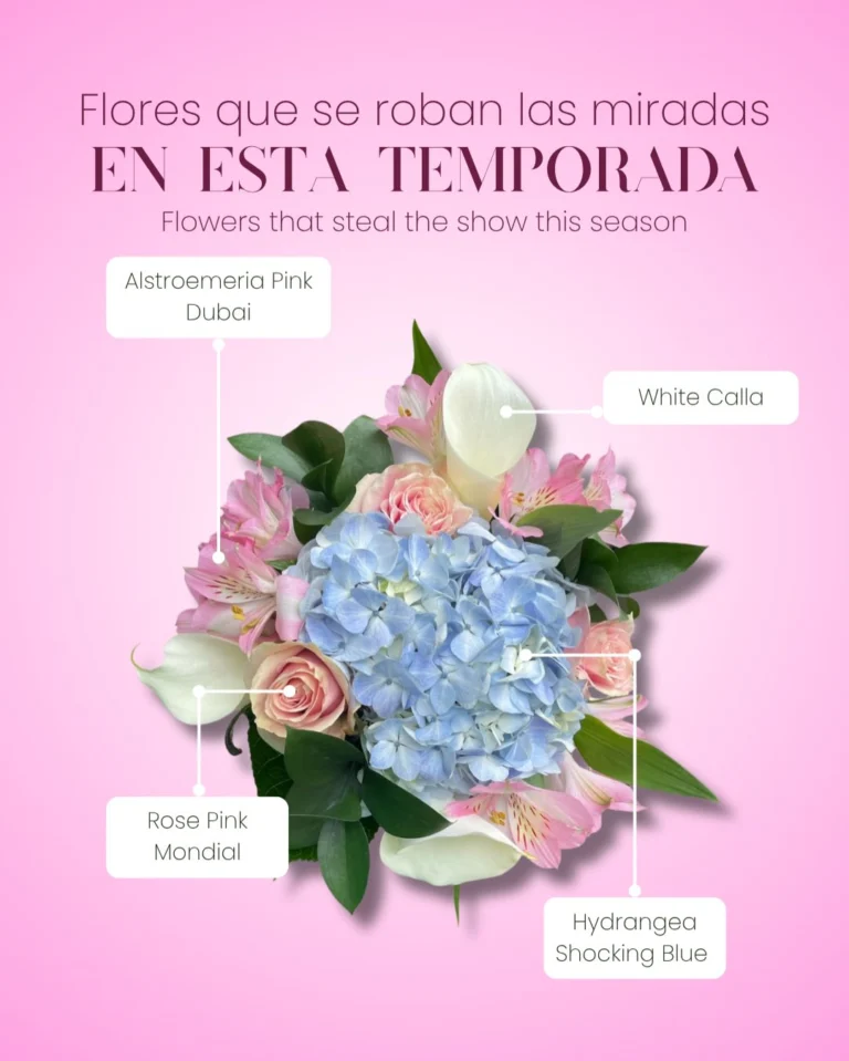 Instagram post from gutiflowers. This post is in position 2.