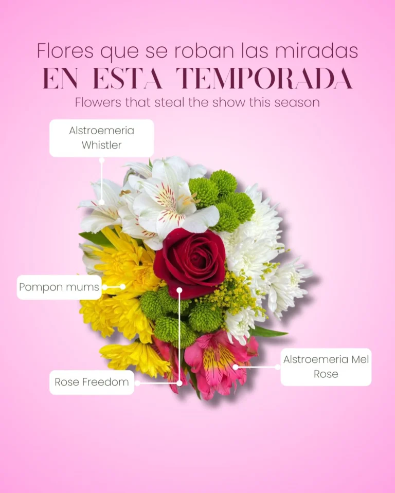 Instagram post from gutiflowers. This post is in position 1.