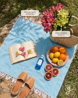 Instagram post from gutiflowers. This post is in position 5.