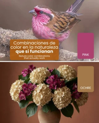 Instagram post from gutiflowers. This post is in position 1.