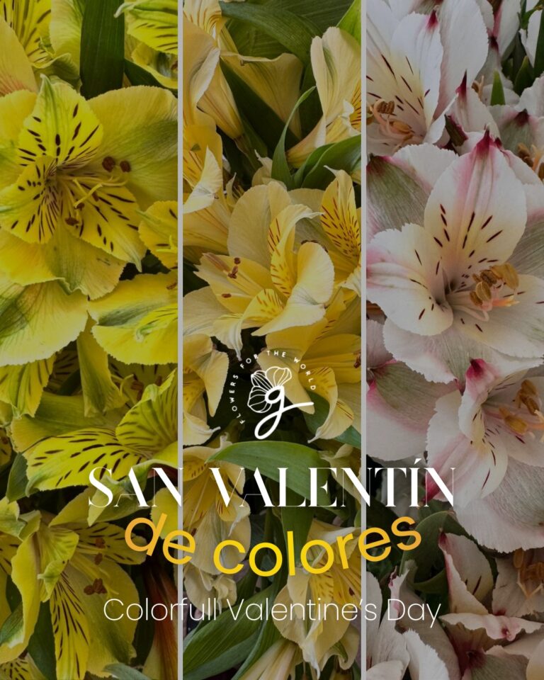 Instagram post from gutiflowers. This post is in position 1.