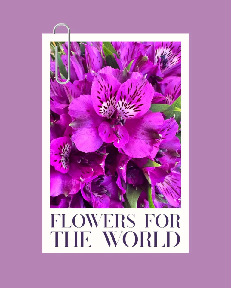 Instagram post from gutiflowers. This post is in position 12.