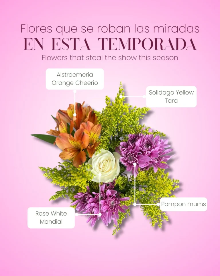 Instagram post from gutiflowers. This post is in position 0.