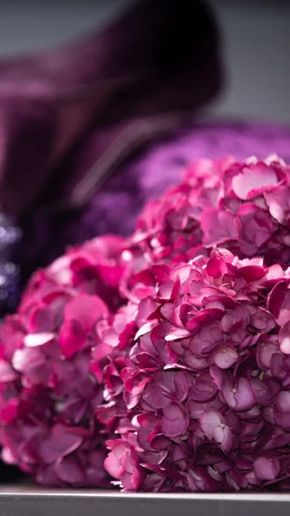 Instagram post from gutiflowers. This post is in position 5.