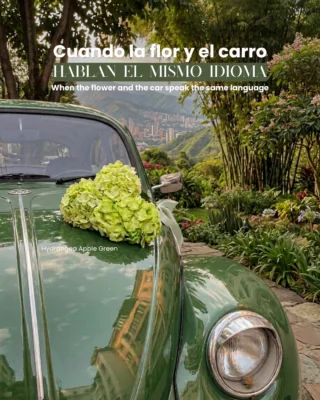 Instagram post from gutiflowers. This post is in position 1.