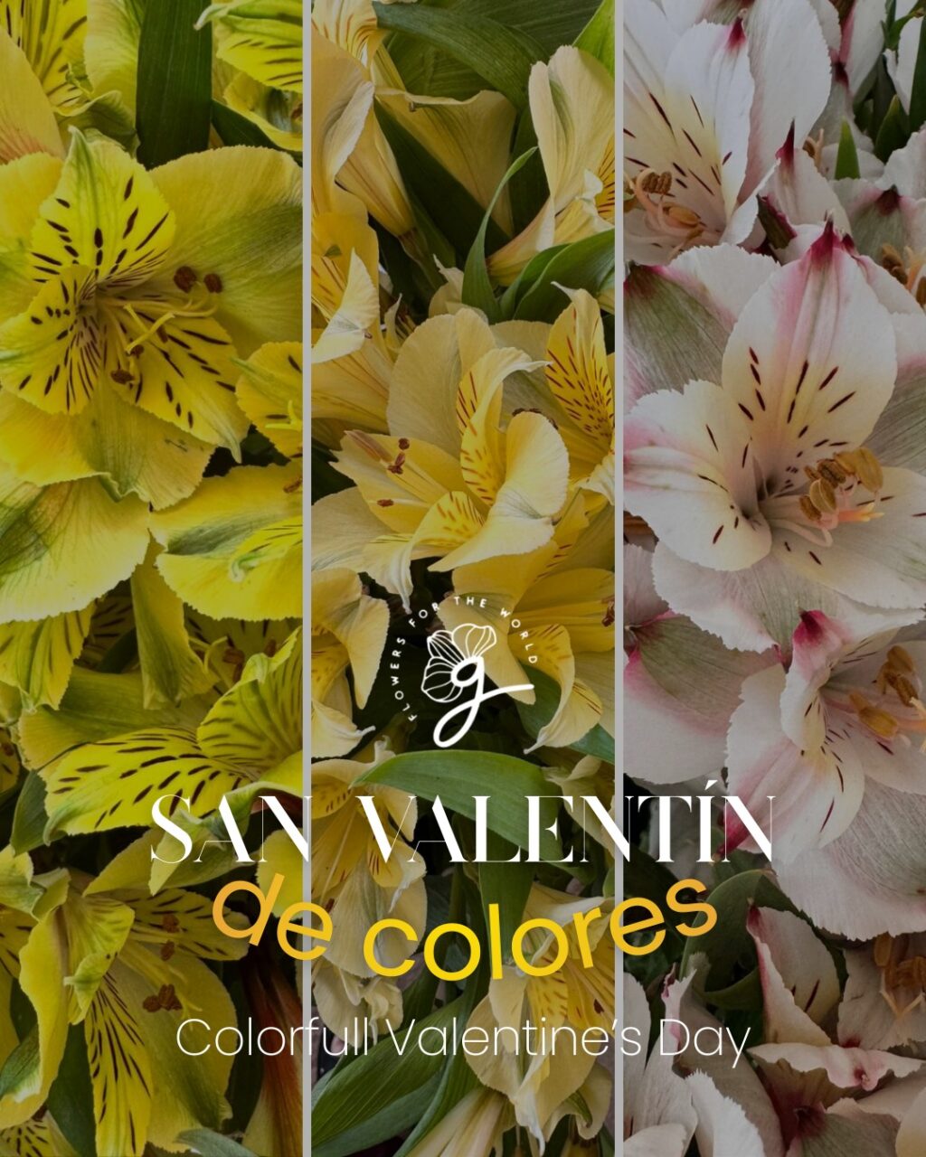 Instagram post from gutiflowers. This post is in position 0.