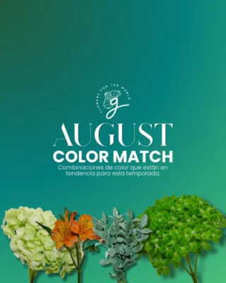 Instagram post from gutiflowers. This post is in position 1.