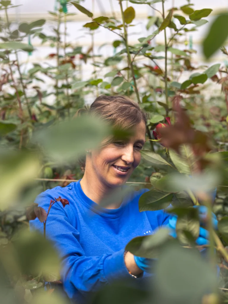 Instagram post from gutiflowers. This post is in position 1.