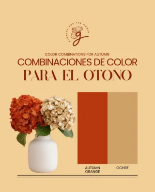 Instagram post from gutiflowers. This post is in position 1.