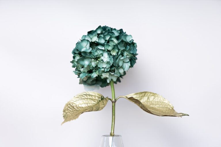 Instagram post from gutiflowers. This post is in position 13.