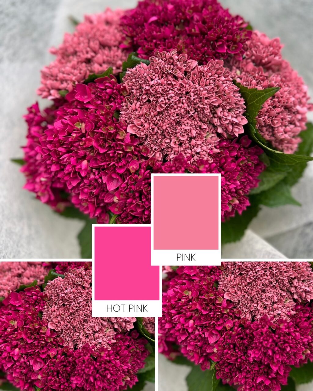 Instagram post from gutiflowers. This post is in position 2.