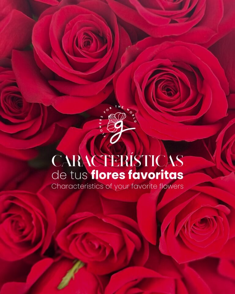 Instagram post from gutiflowers. This post is in position 1.