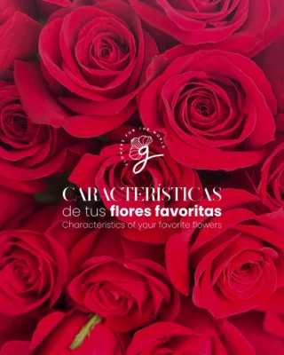 Instagram post from gutiflowers. This post is in position 9.