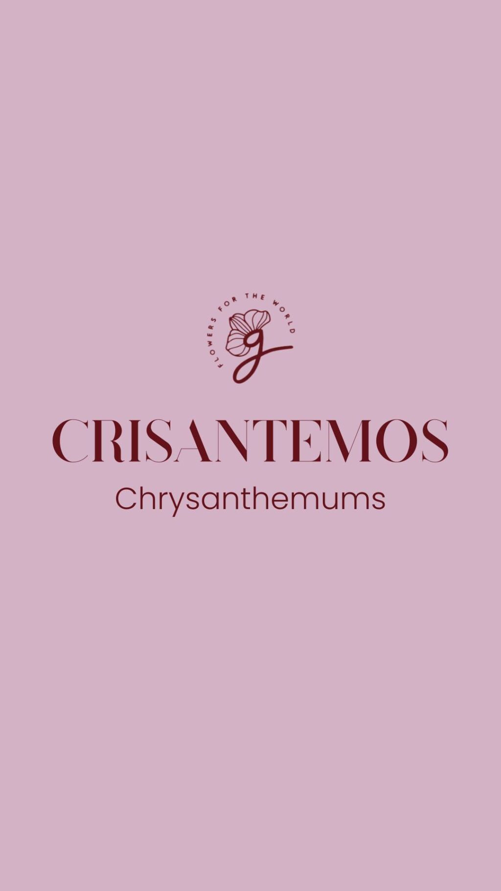 Instagram post from gutiflowers. This post is in position 0.