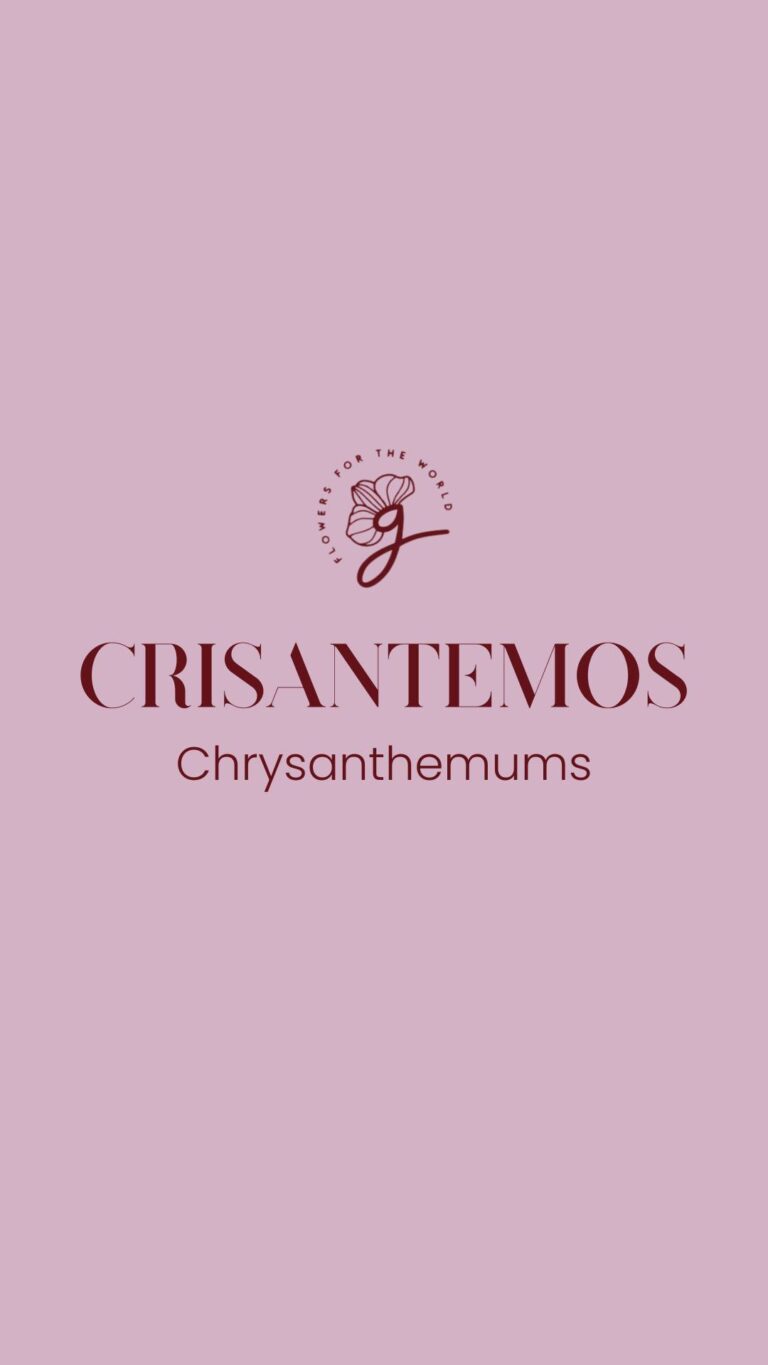 Instagram post from gutiflowers. This post is in position 1.