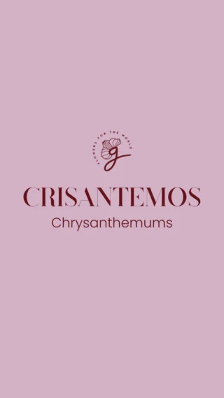 Instagram post from gutiflowers. This post is in position 4.