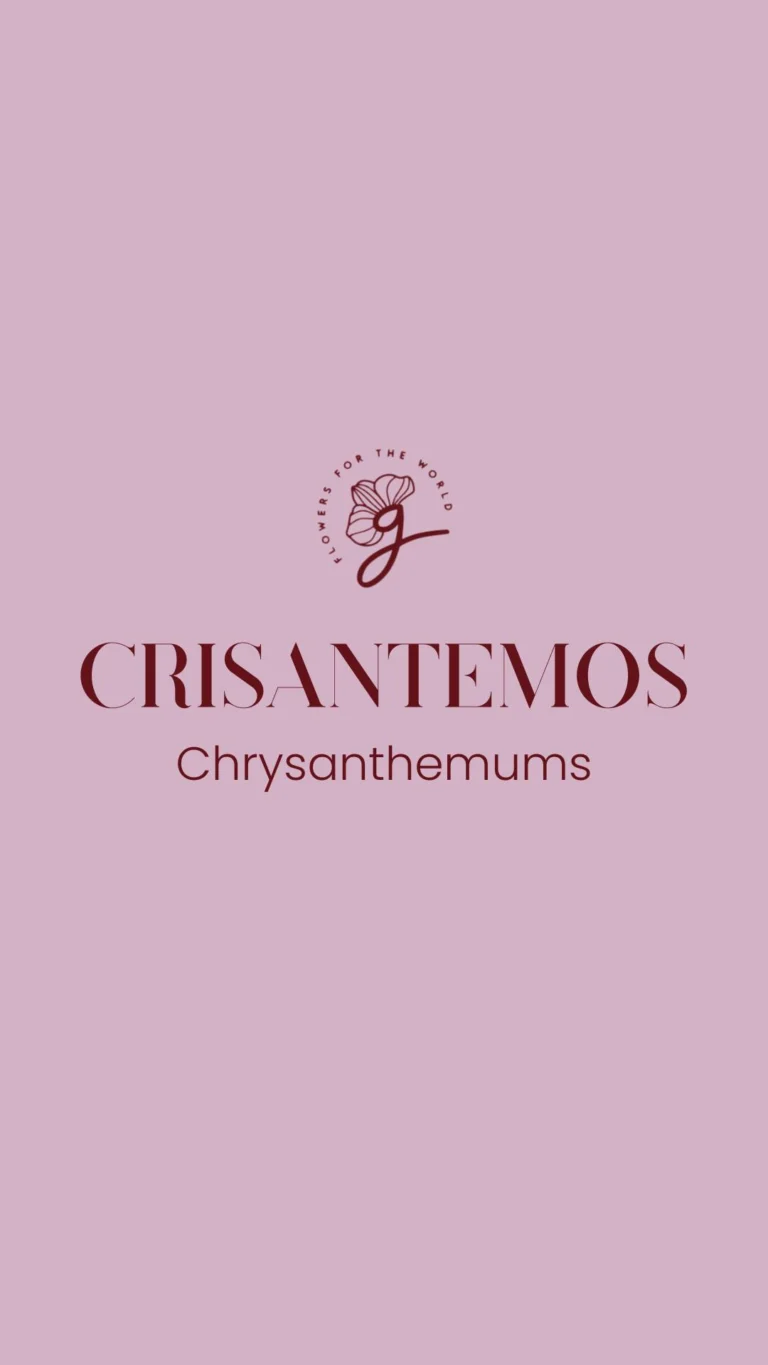 Instagram post from gutiflowers. This post is in position 3.