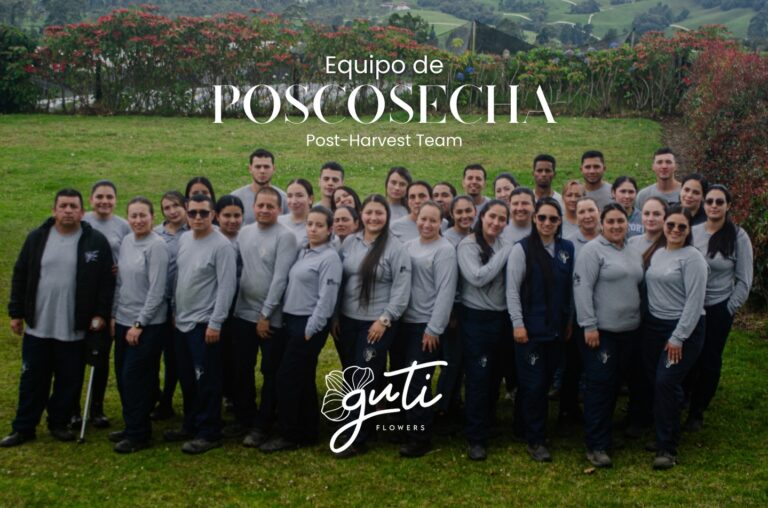 Instagram post from gutiflowers. This post is in position 7.