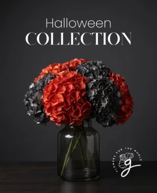 Instagram post from gutiflowers. This post is in position 1.