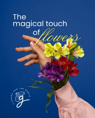 Instagram post from gutiflowers. This post is in position 1.