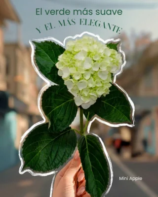 Instagram post from gutiflowers. This post is in position 1.