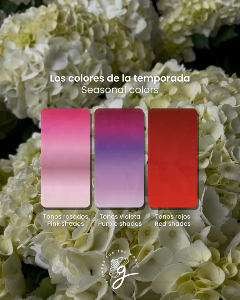 Instagram post from gutiflowers. This post is in position 14.