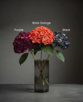 Instagram post from gutiflowers. This post is in position 1.