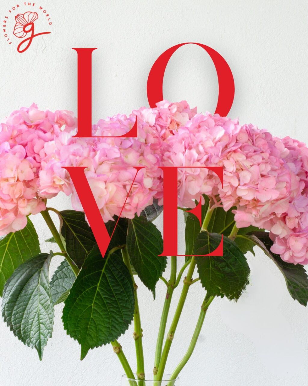 Instagram post from gutiflowers. This post is in position 0.