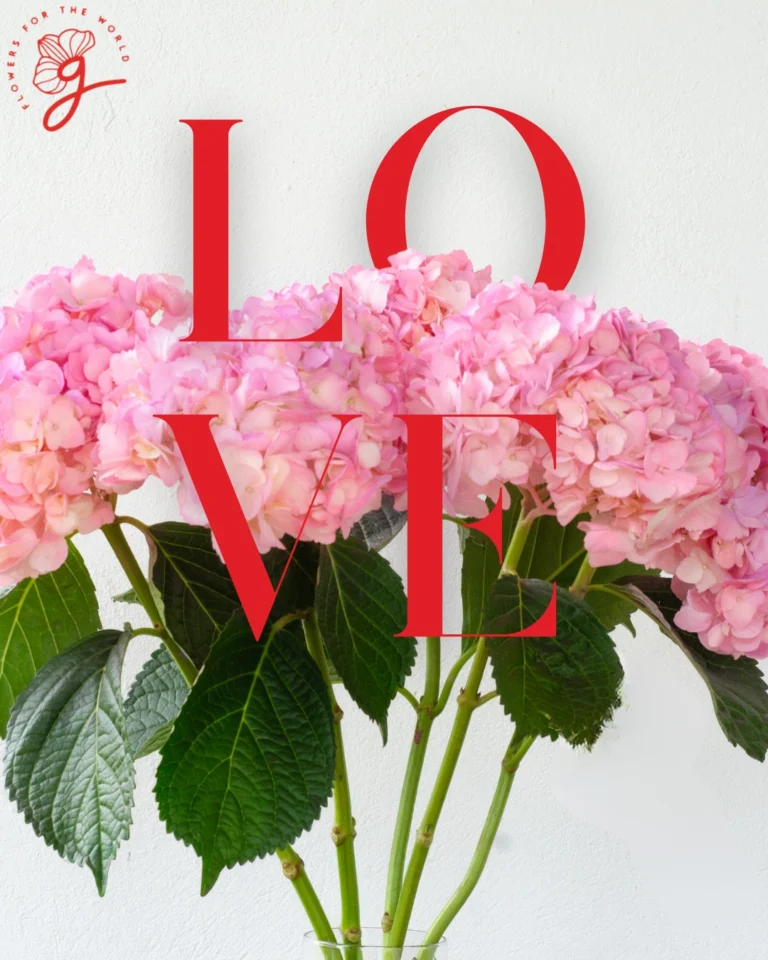 Instagram post from gutiflowers. This post is in position 9.