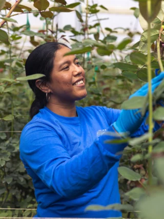 Instagram post from gutiflowers. This post is in position 1.