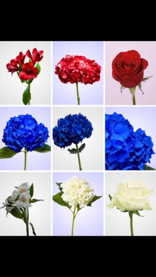 Instagram post from gutiflowers. This post is in position 4.