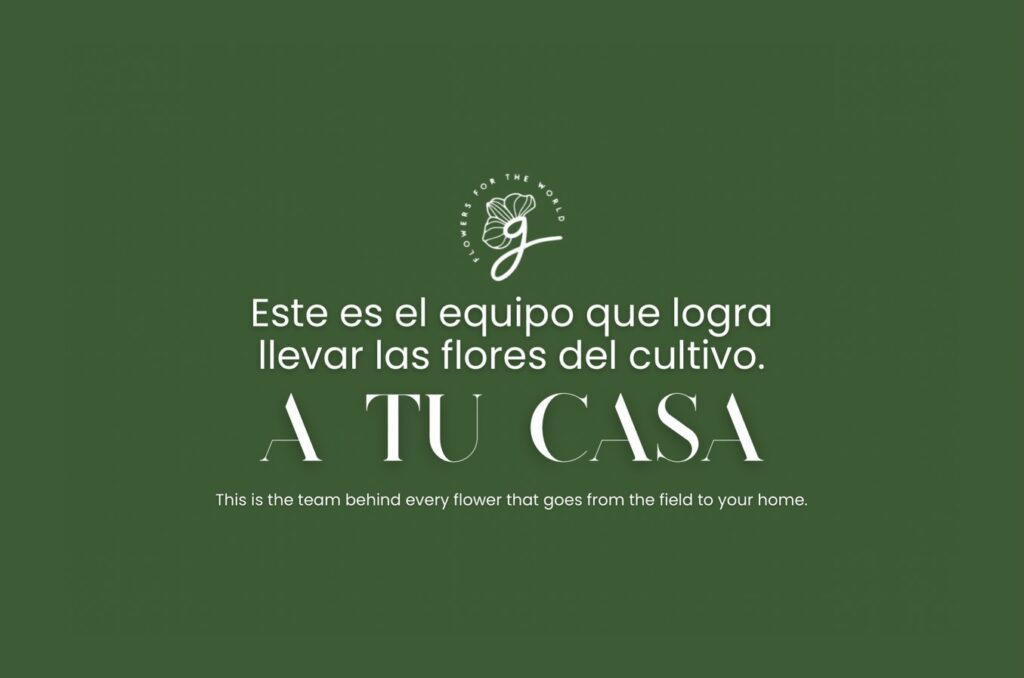 Instagram post from gutiflowers. This post is in position 0.