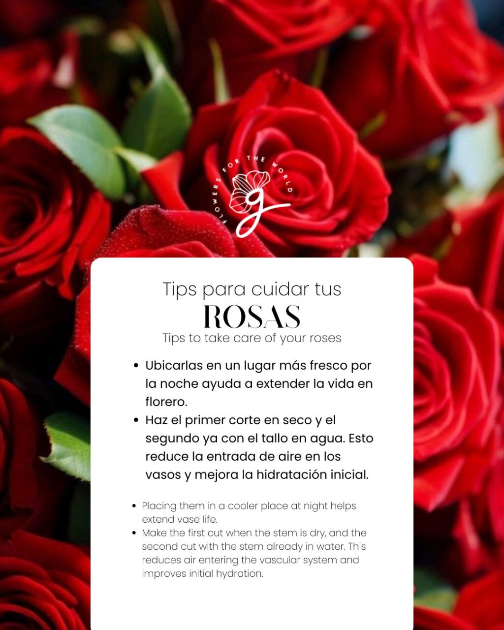 Instagram post from gutiflowers. This post is in position 2.