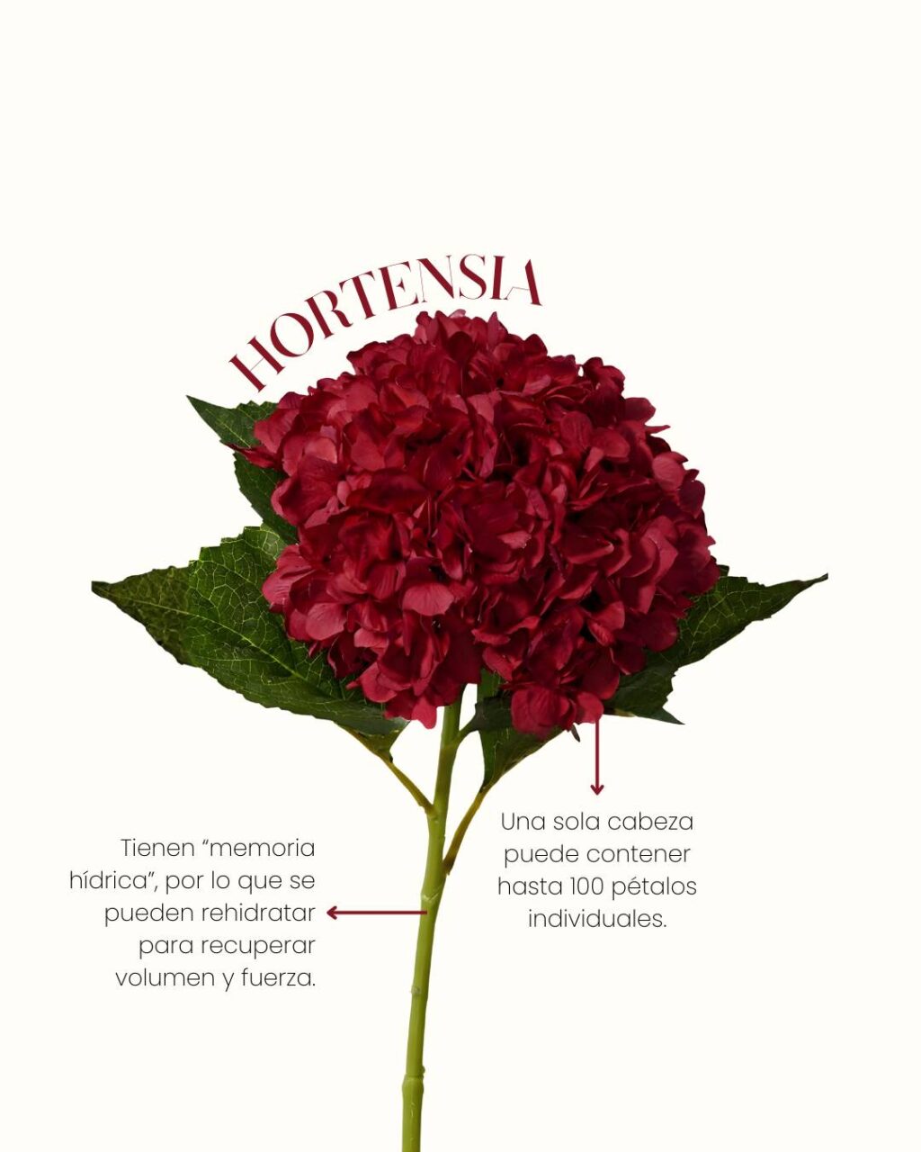 Instagram post from gutiflowers. This post is in position 2.