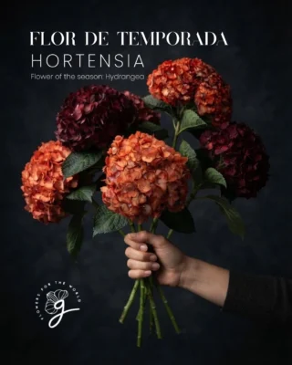 Instagram post from gutiflowers. This post is in position 1.